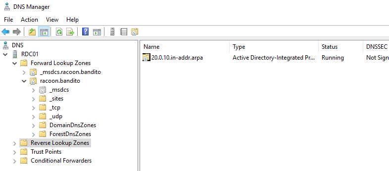 Active Directory DNS 1