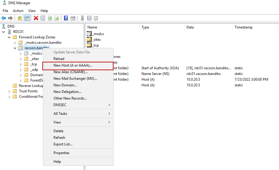 Active Directory DNS 2