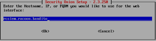 SIEM Installation 11